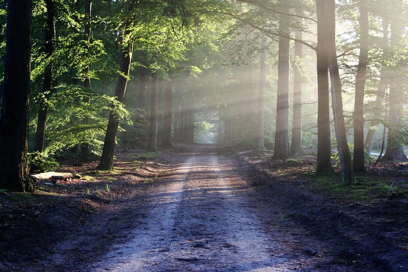 Learning Paths